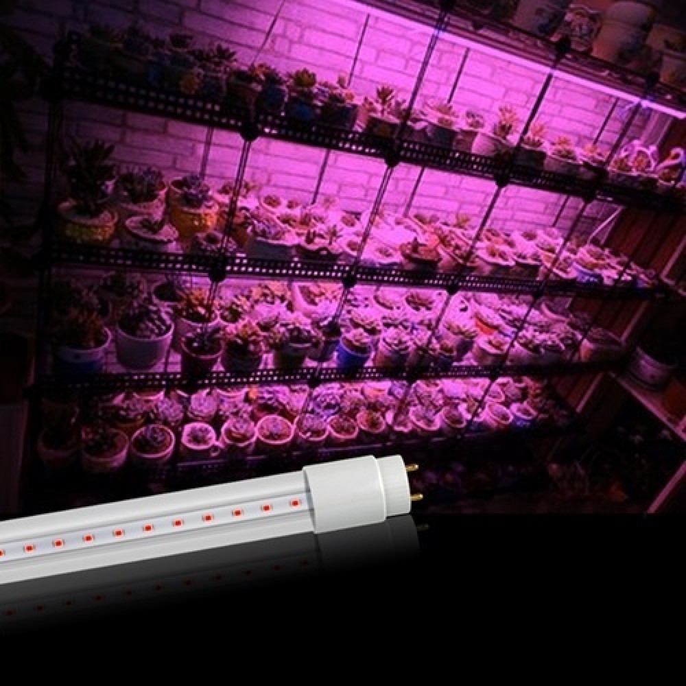 T8 36W 40W F40 T8 Plant Grow Light Tube Lamp G13 with Super White/ Red/Blue  Light - China Plant Grow Light, Plant Grow Lamp